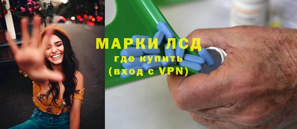 прущие грибы Кулебаки
