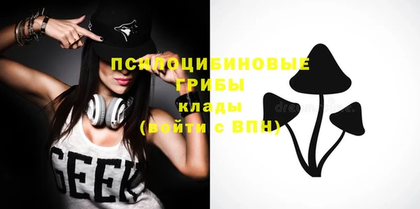 шишки Горно-Алтайск