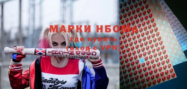 дживик Баксан