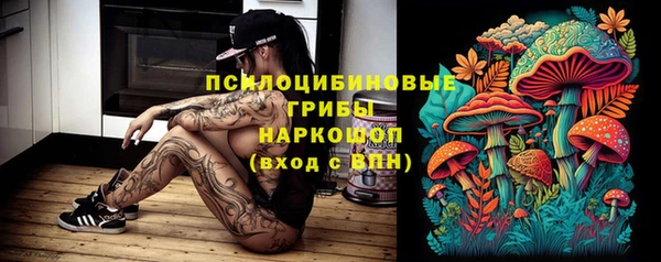гидропоника Кукмор
