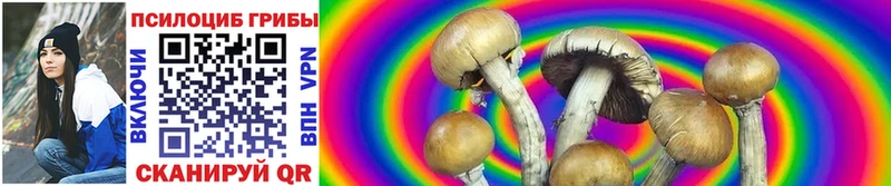 продажа наркотиков  Губаха  Псилоцибиновые грибы GOLDEN TEACHER 