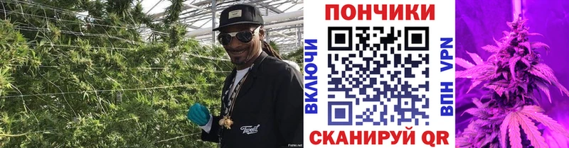 наркошоп Губаха Бошки Шишки тримм